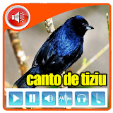 Canto De Tiziu 2017 icon