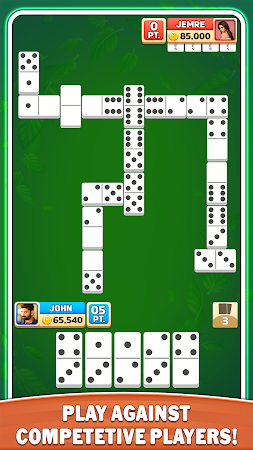 Game screenshot Dominoes mod apk
