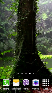 熱帶雨林視頻動態壁紙