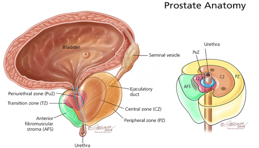 prosztatit karkötő inkontinencia műtét fórum