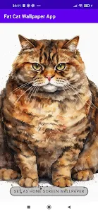 Fat Cat Wallpaper