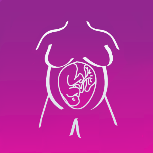 Safe Pregnancy and Birth  Icon