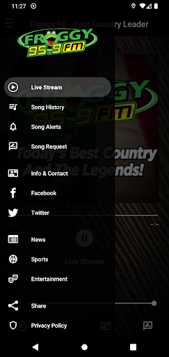Froggy 96 Online Screen 3
