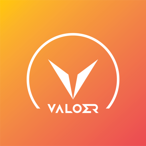 Valoer: Loyalty Partner logo