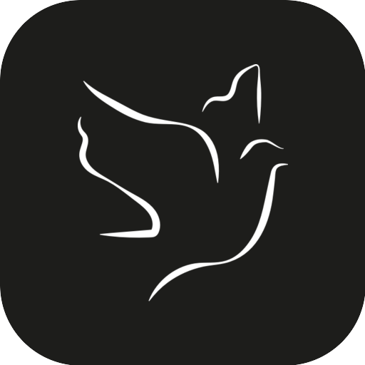 Graça Plena SP logo