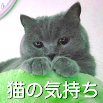 Cover Image of Télécharger 猫の気持ちがわかるアプリ  APK
