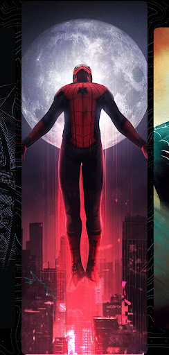 Spidy Spider Wallpaper Man 4K