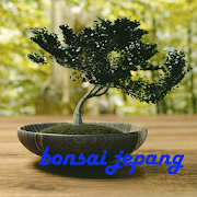 Japanese Bonsai Idea: BEST