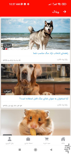 Payapetshop Screen 2