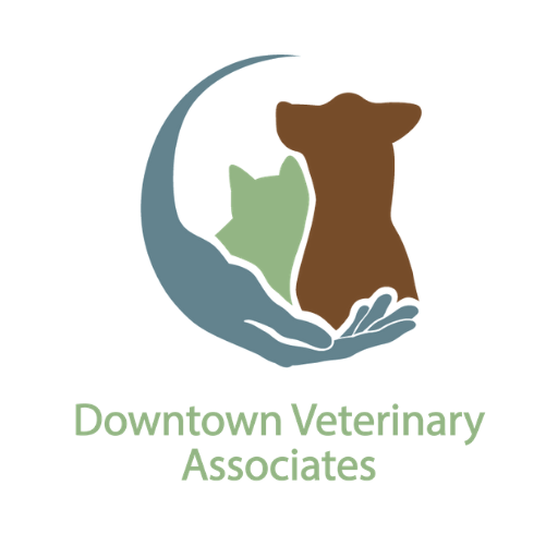 Downtown Veterinary Assoc logo