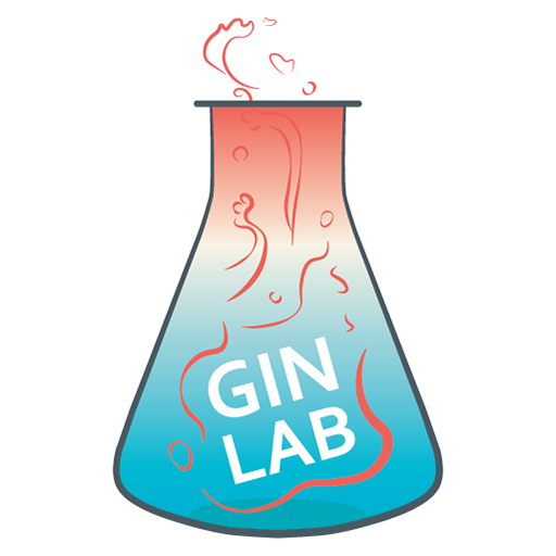 GinUpEnglish-Grammar and Tests logo