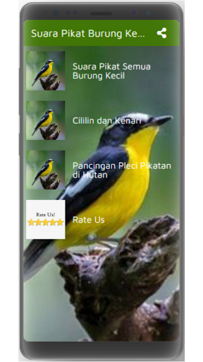 Suara Pikat Burung Kecil Mp3