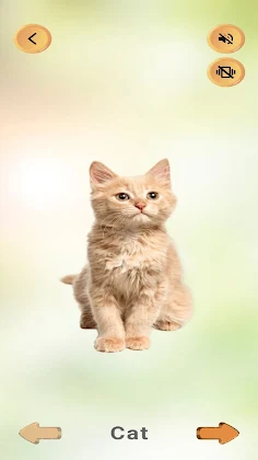Listen & Learn : Animal Sounds - Screenshot 4