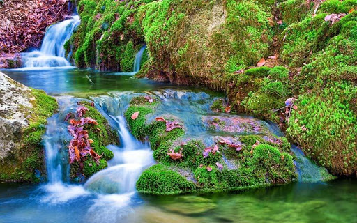 Wonderful Landscape Puzzle Screen 3