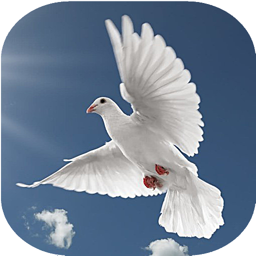 Musica cristiana Descarga en Windows
