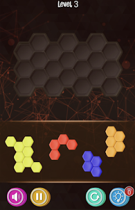 Hexa Puzzle Game
