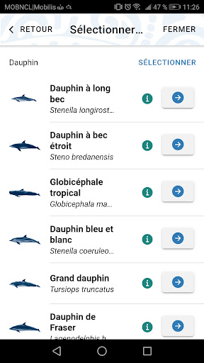 Observatoire Polynésie