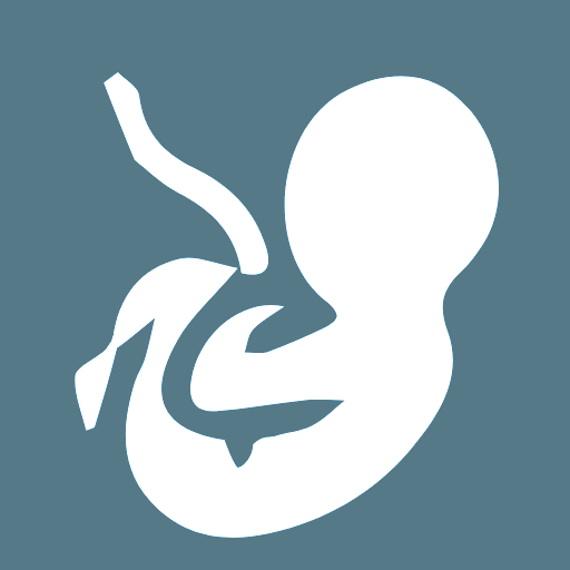 Fetoly Essential logo