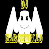 All Songs DJ MARSHMELLO icon