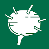 Lymphatic System Reference Guide icon