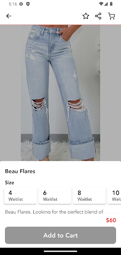 Screenshot of Fanci Nancis Closet