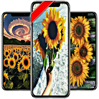 sunflower wallpaper app