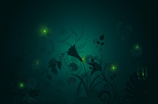 Android application Summer Night Theme screenshort