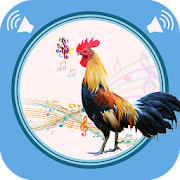 Rooster Sounds