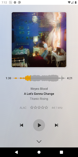 Screenshot of Plexamp