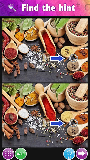Seek and Find differences game Screen 2