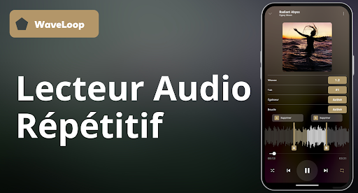 Aperçu de l'application