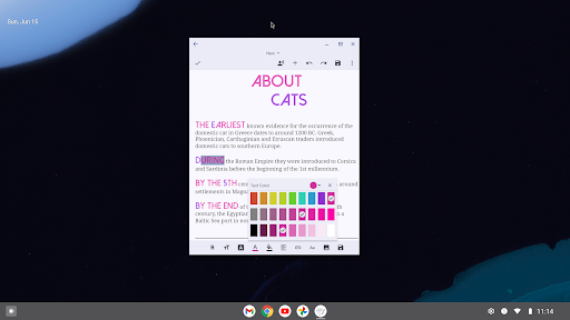 Screenshot of Text Editor