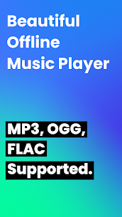 Offline Music Player MOD APK (Premium Unlocked) 1