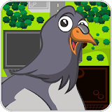 Traffic Pigeon Racer icon