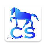 C-Computersystem icon