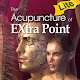 The Acupuncture of Extra Point Lite Download on Windows