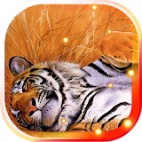 Tiger Wild Predator LWP icon