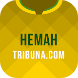 Неман Гродно+ Tribuna.com icon