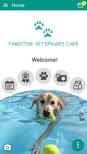 Pawsitive Vet