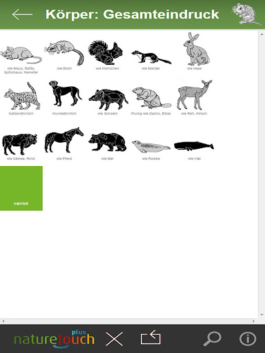 Igel Hase Fuchs bestimmen