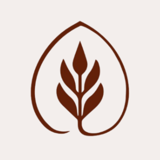 Evolua Clínica Médica