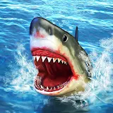 Angry Shark Simulator Game 3D icon