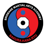 Brisbane Martial Arts Academy icon