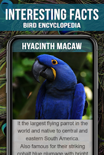 Animal Encyclopedia of Birds