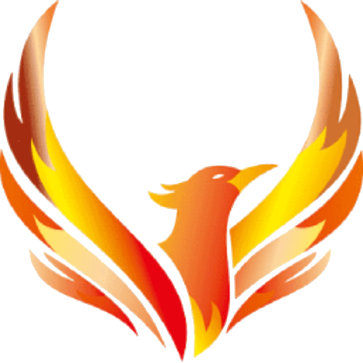 PMN Idea logo
