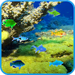 Free SeaBed Fishes LWP Apk