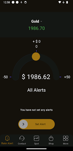 Mass Bullion Screen 3