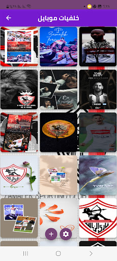 Elzamalek news Screen 3