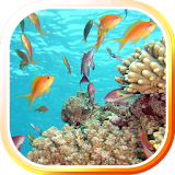 Underwater Sea Life LWP icon