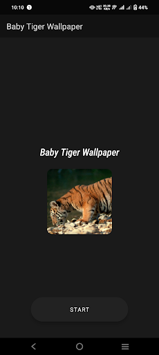 Baby Tiger Wallpaper Screen 2